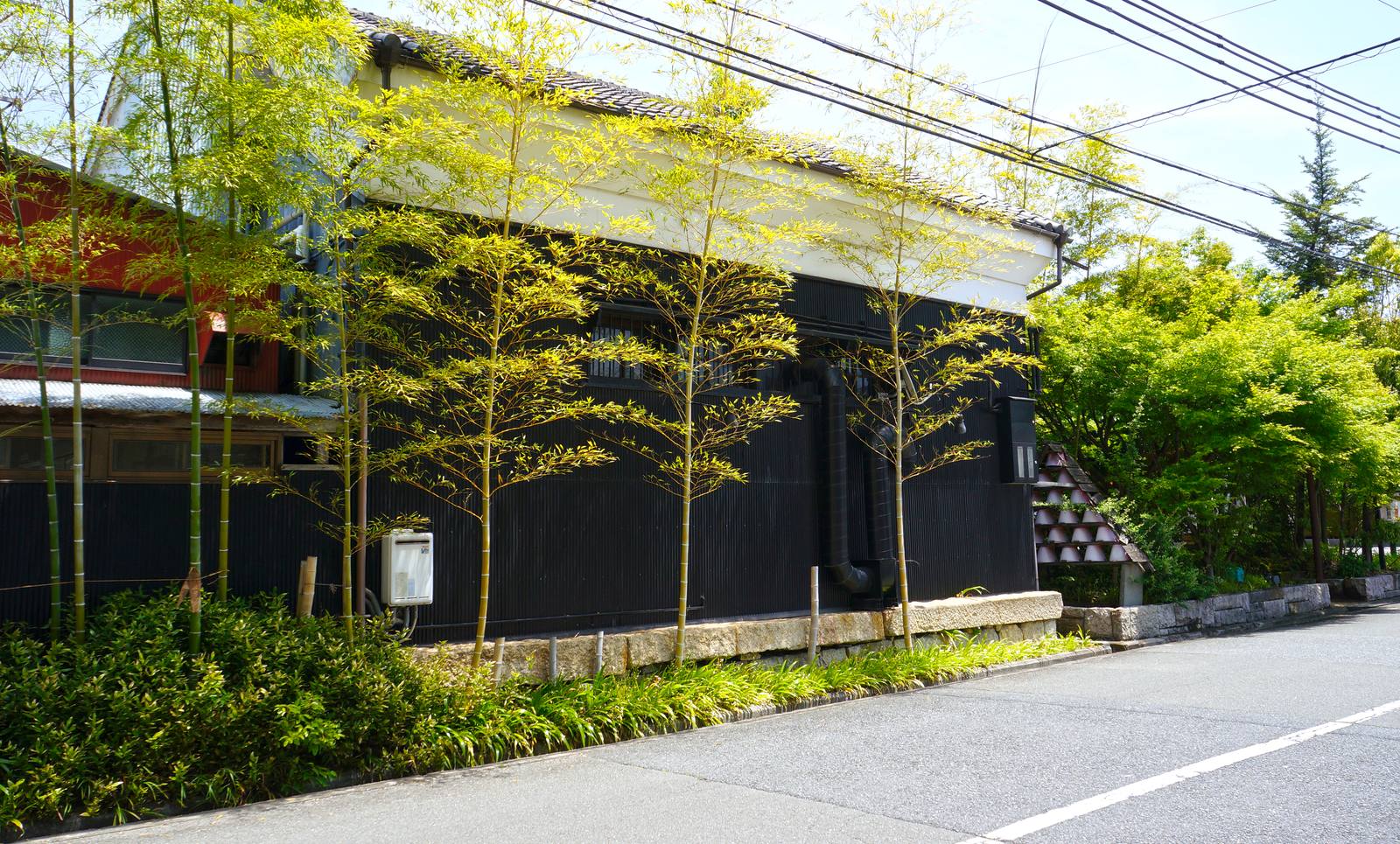 A black-timbered brewery building at Nadagiku, framed by young bamboo